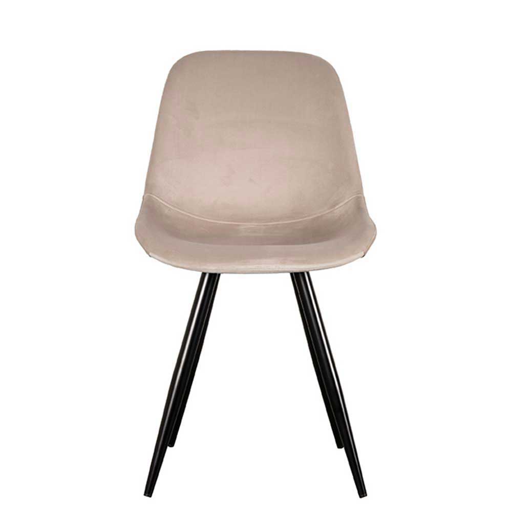 Esszimmerstuhl Flemingo aus Samt im Skandi Design (2er Set)