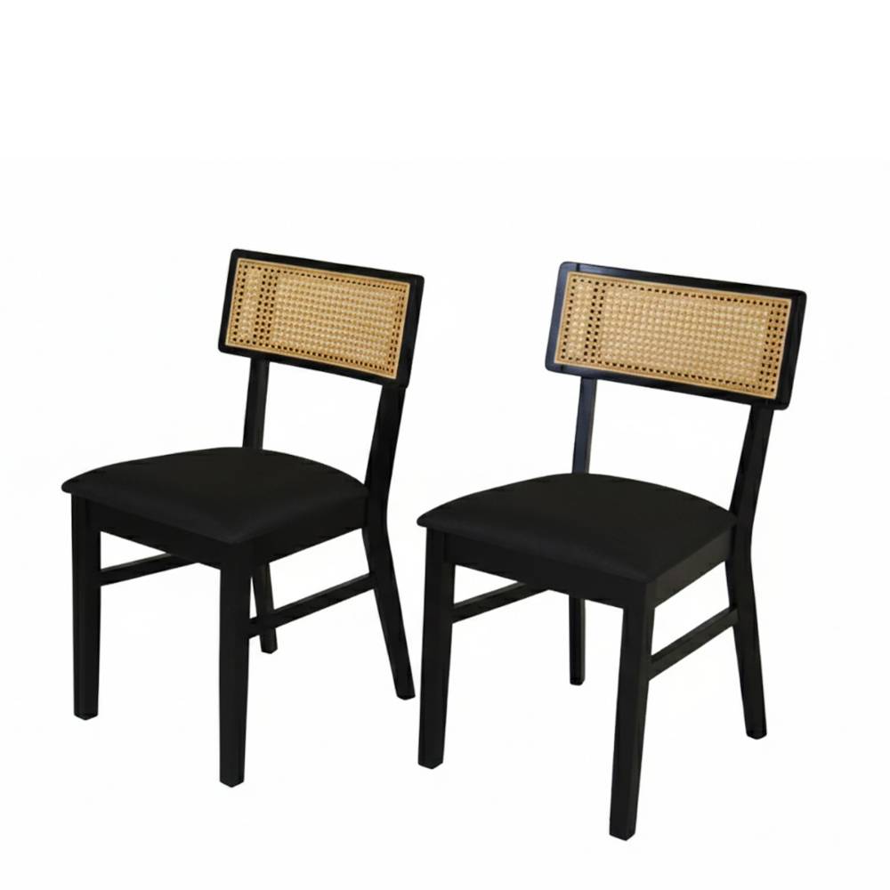 Esstisch Stühle Yasin im 2er Set - Retrostil (2er Set)