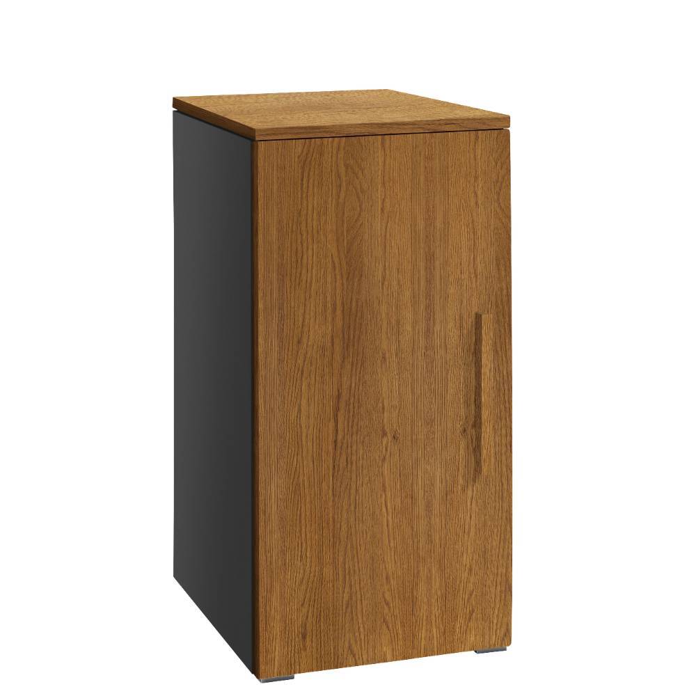 Beistellschrank Mercy in Anthrazit und Eiche dunkel