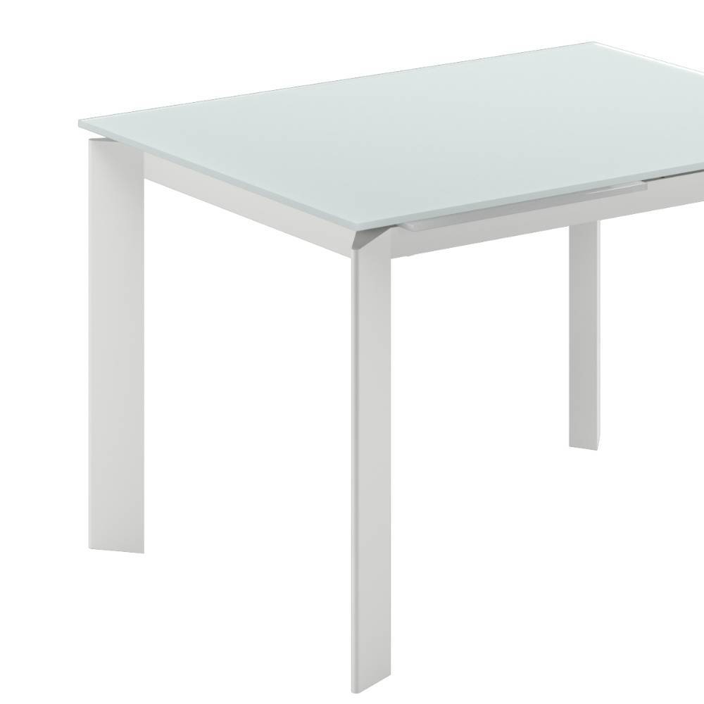 Esszimmer Tisch Burina aus Glas und Metall