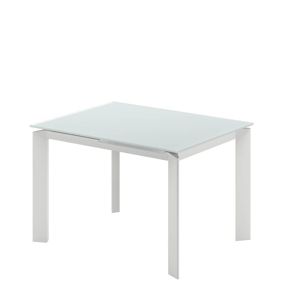 Esszimmer Tisch Burina aus Glas und Metall