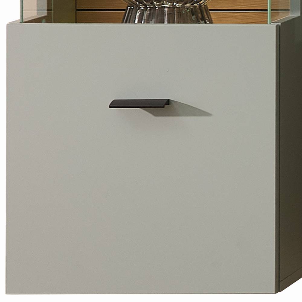 Vitrine Ilitalcon in Graugrün und Wildeichefarben