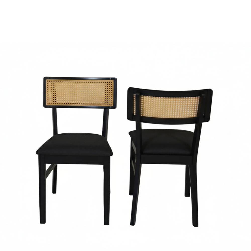 Esstisch Stühle Yasin im 2er Set - Retrostil (2er Set)