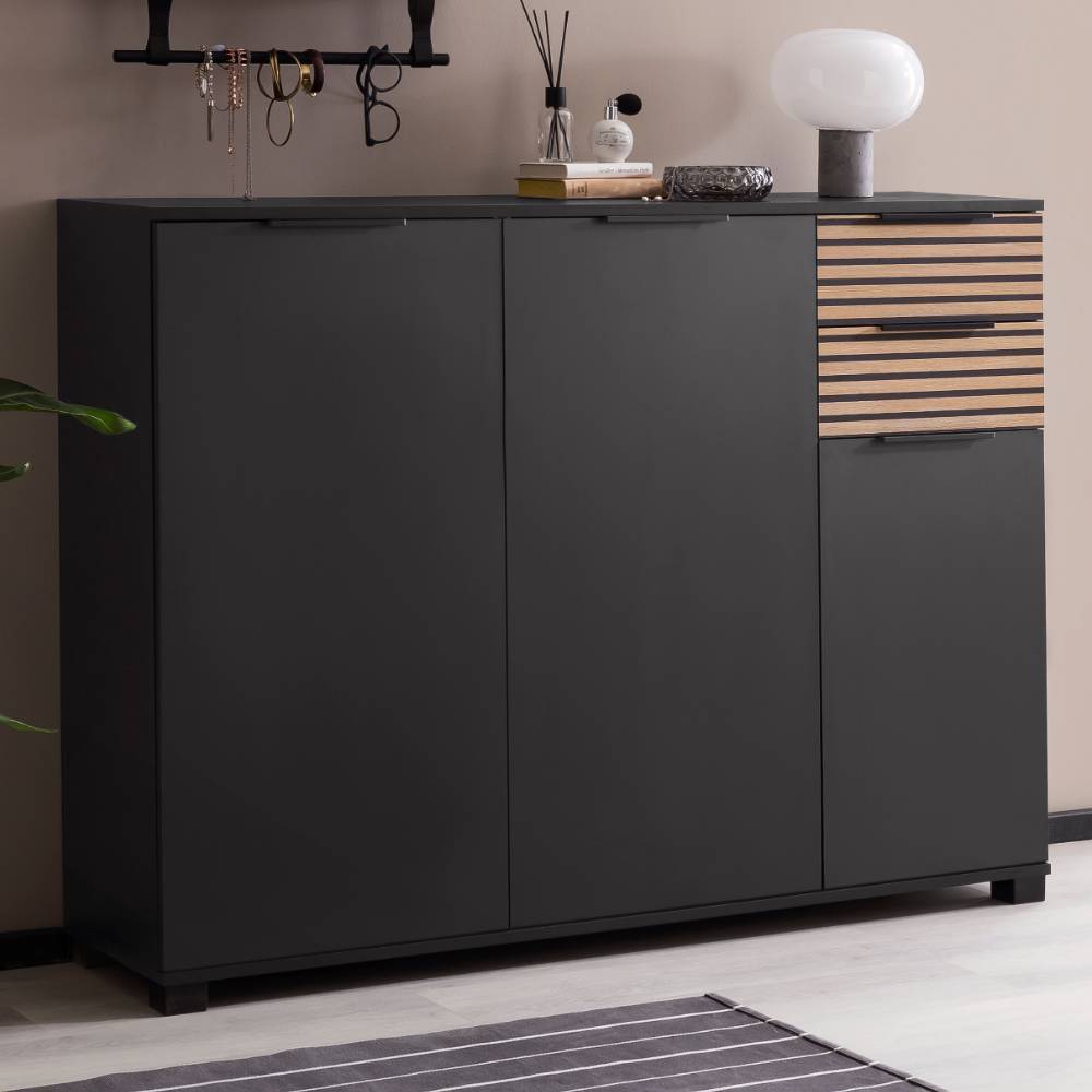 Schuhschrank Ronn in Schwarz matt und Paneeloptik