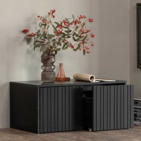 Lowboard Sestran in Schwarz echtholzfurniert – Ansicht 2