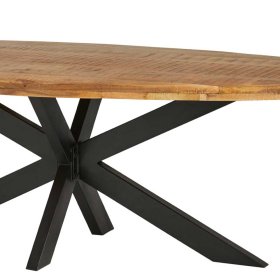 Ovaler Esszimmertisch Laguera im Industrie und Loft Stil mit Spider Gestell – Ansicht 3
